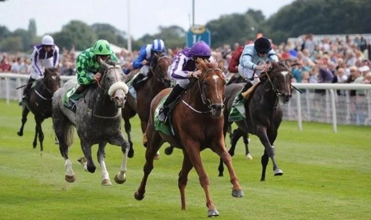 Cách Chơi Cá Cược Đua Ngựa Tại BET168VN: Hướng Dẫn Toàn Diện Cho Người Chơi 2 Mẹo cá cược Đua Ngựa Tại BET168VN tăng cơ hội thắng